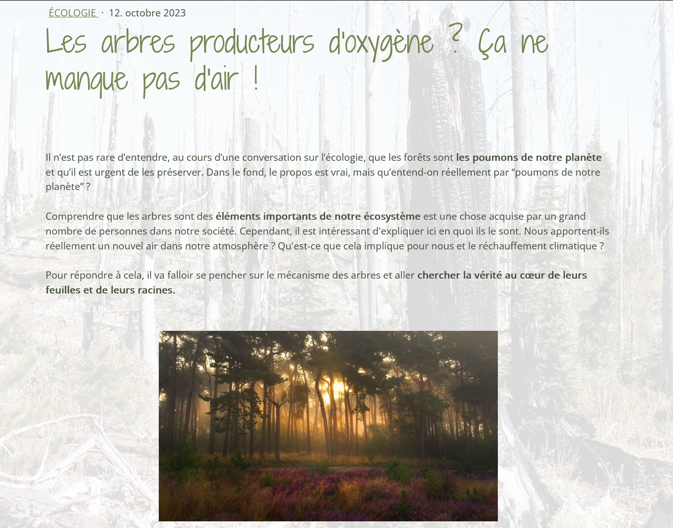 Exemple d'article rédigé sur le site All around the planet
