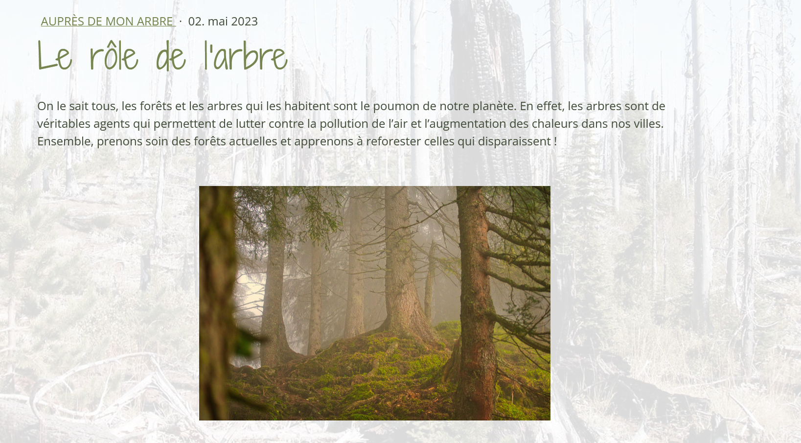 Exemple d'article rédigé sur le site All around the planet