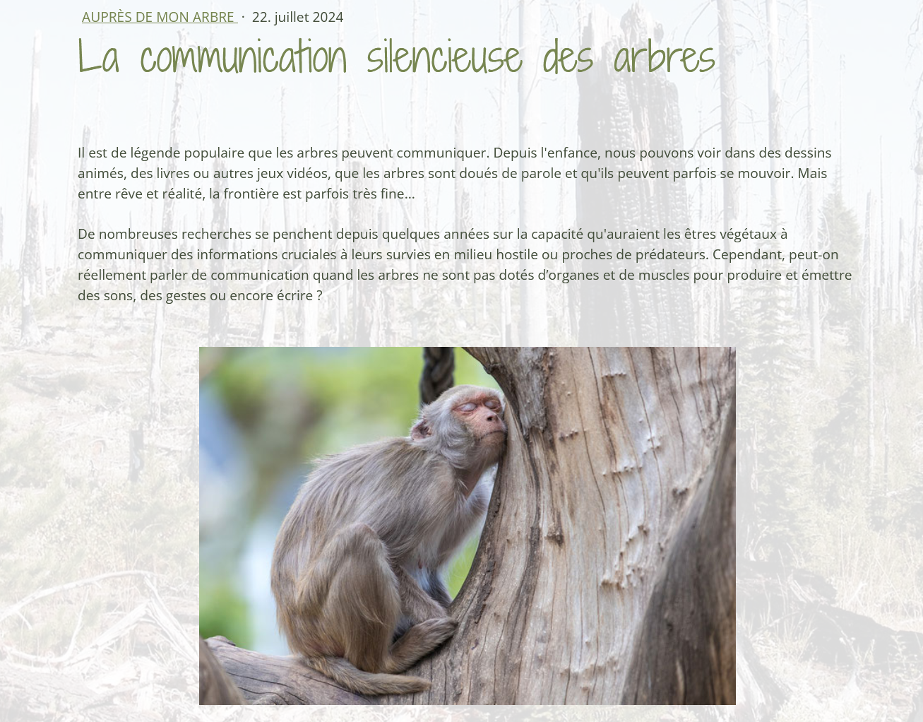 Exemple d'article rédigé sur le site All around the planet